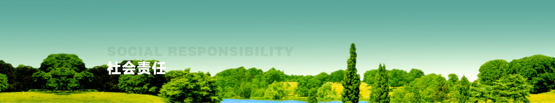 ��������й���